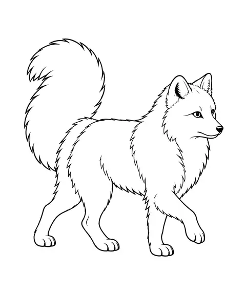 Arctic Fox coloring page