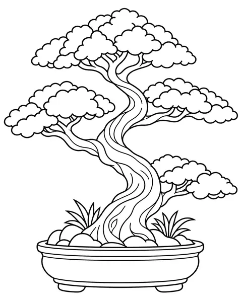 Bonsai coloring page