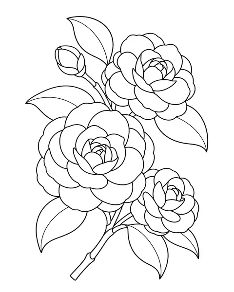 Camellia Branch coloring page