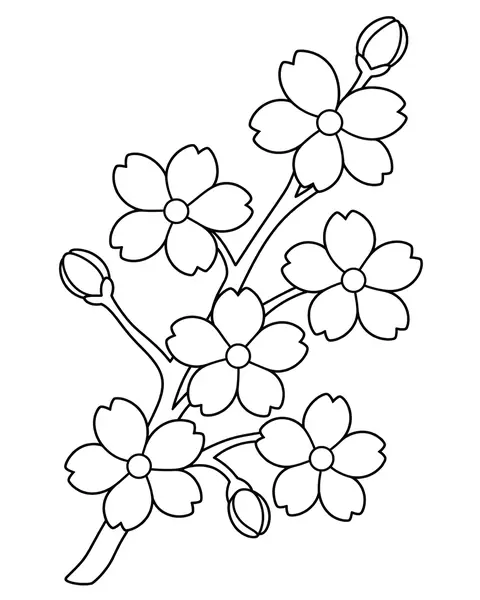 Cherry Blossoms coloring page