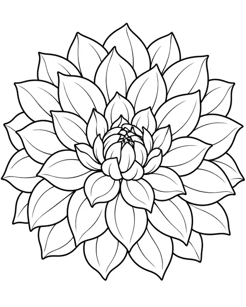 Dahlia Bloom coloring page
