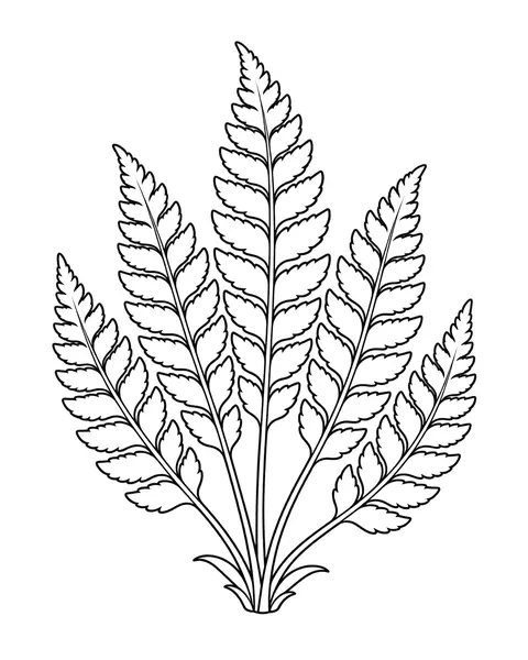 Fern Fan coloring page