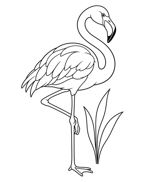 Flamingo coloring page