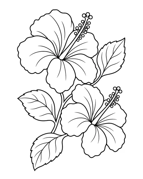 Hibiscus Pair coloring page