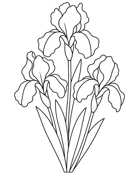 Iris coloring page