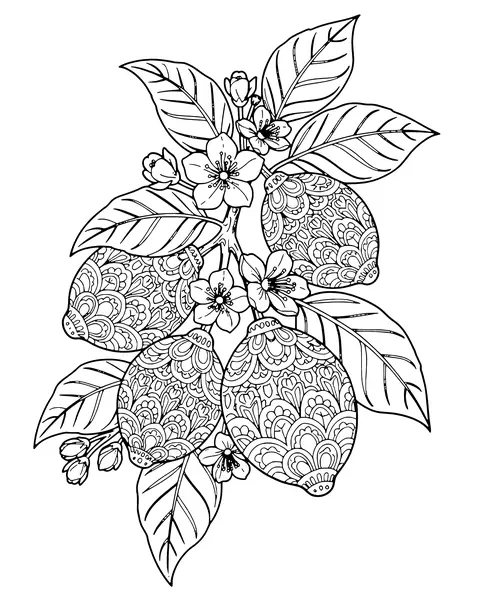 Lemon Tree Branch coloring page