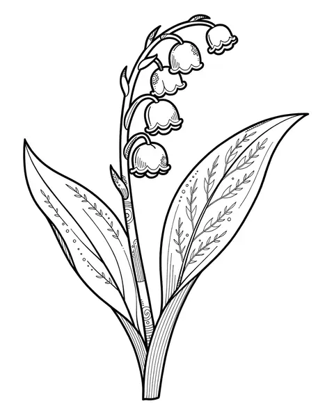 Lily of the Valley coloring page