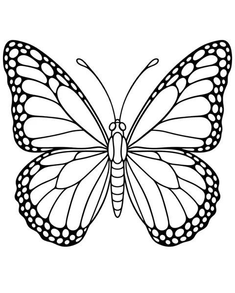 Monarch Butterfly coloring page