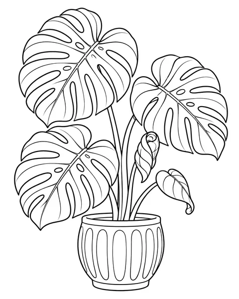 Monstera Still Life coloring page