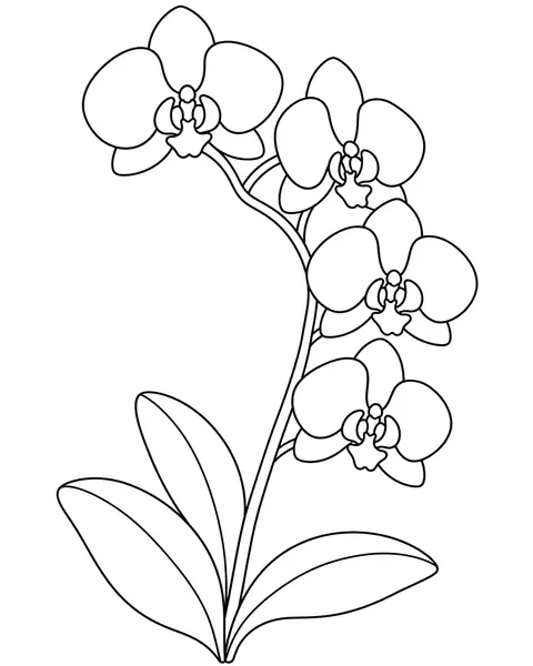 Orchid Arch coloring page