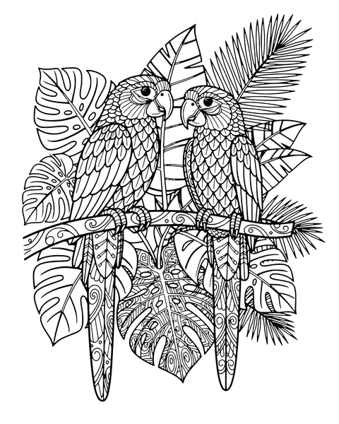 Parrot Pair coloring page