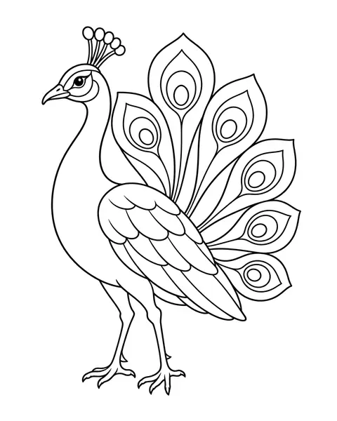 Peacock coloring page