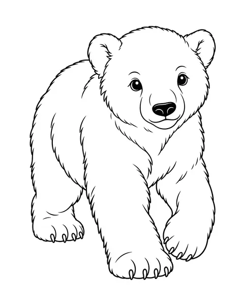 Polar Bear Cub coloring page
