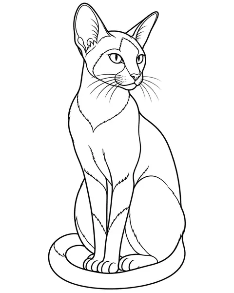 Siamese Cat coloring page