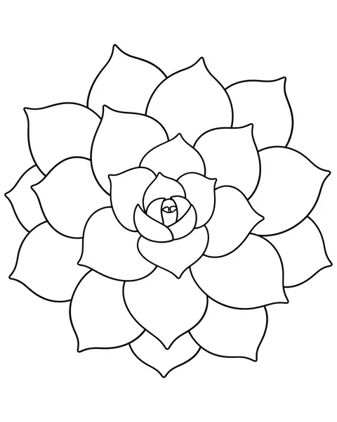 Succulent Rosette coloring page