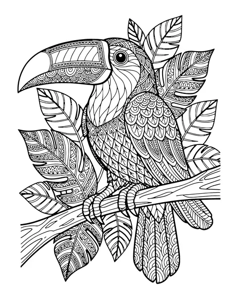Toucan on a Branch coloring page