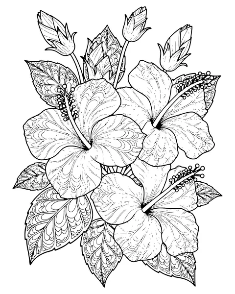 Tropical Hibiscus coloring page