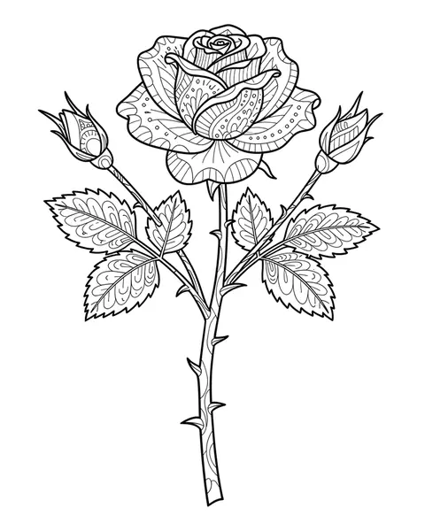 Victorian Rose Study coloring page