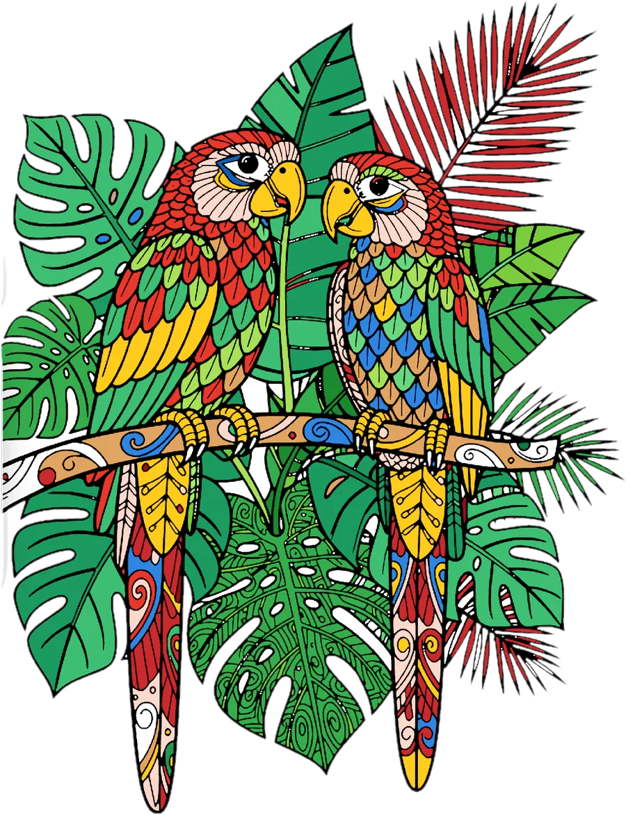 Pareja de loros